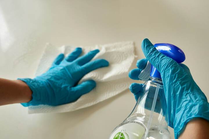 Cleanliness 31 of 31