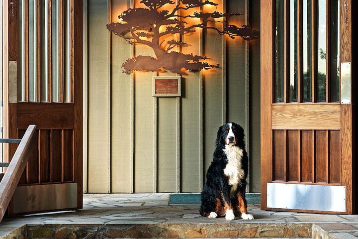 Salishan Coastal Lodge