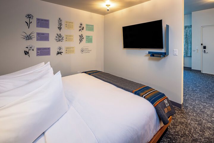 Room 29 of 55