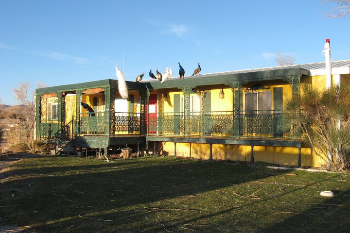Shady Lady Bed & Breakfast