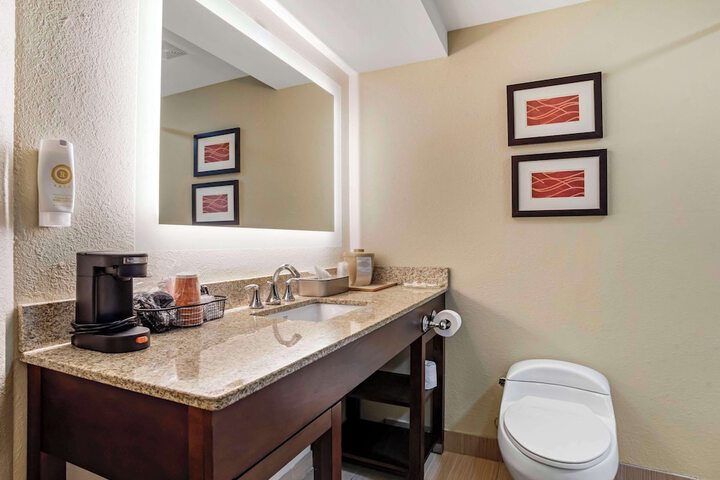 Comfort Inn Opelika - Auburn