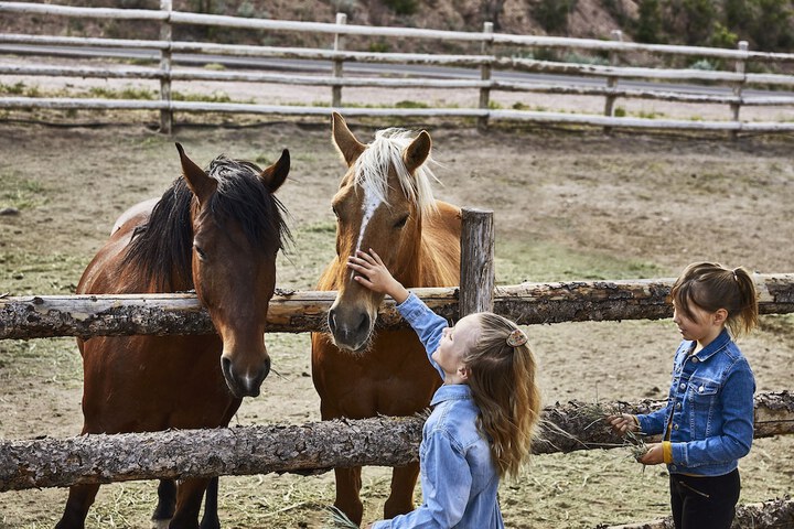 Childrens Activities 142 of 149