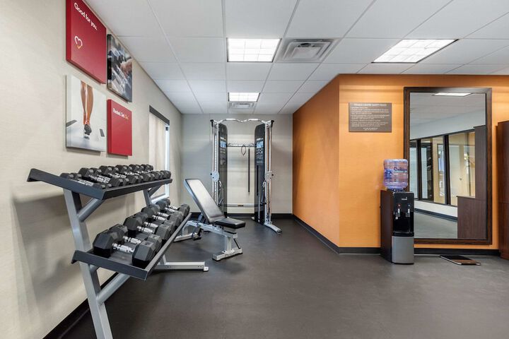Comfort Inn & Suites Schenectady - Scotia