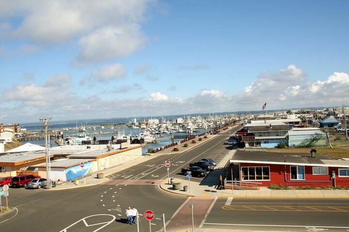 Islander Westport