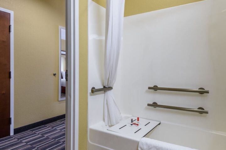 Microtel Inn & Suites by Wyndham Greenville / University Medic