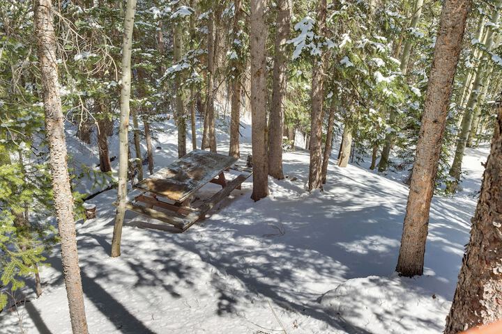 Idaho Springs Cabin w / Hot Tub on Half Acre!