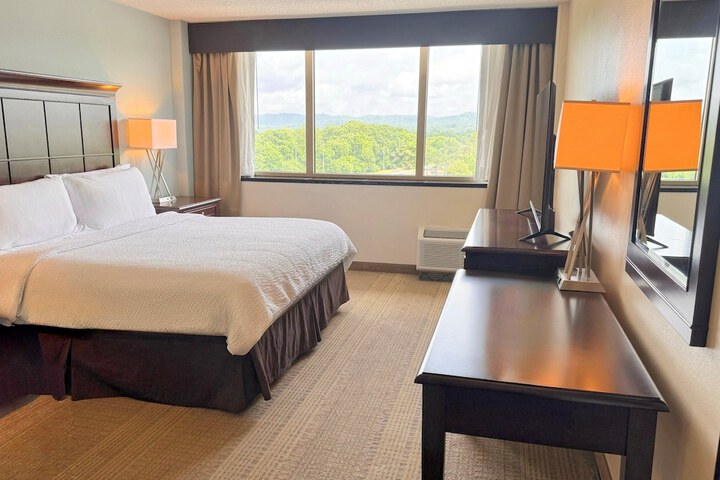 Holiday Inn Birmingham-Airport by IHG