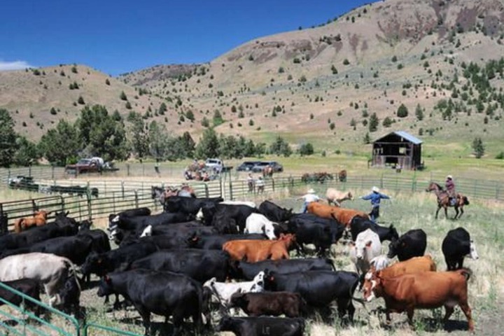 Wilson Ranches Retreat