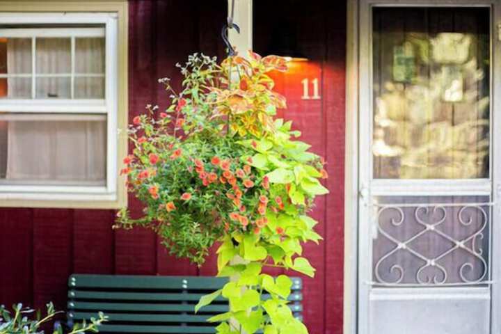 Phoenicia Lodge