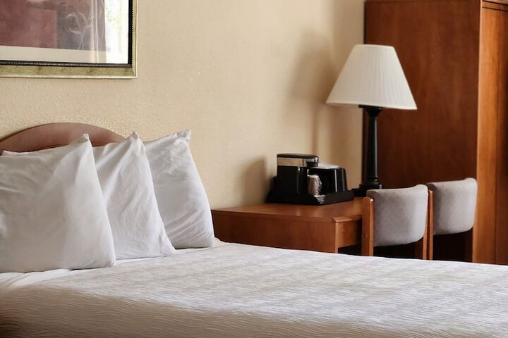 Luxury Inn & Suites