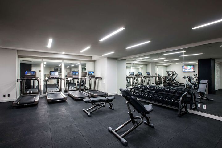 LondonHouse Chicago Curio Collection by Hilton