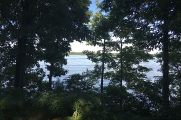 Buzzard Rock Resort & Marina