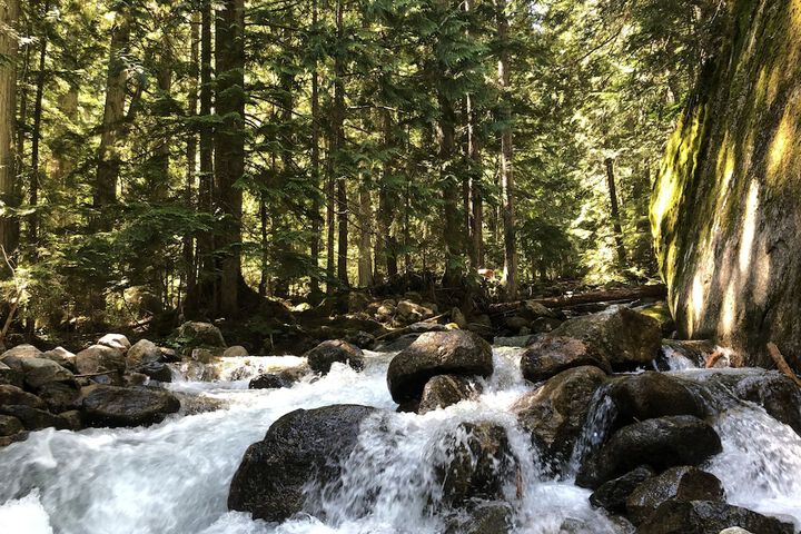 Kokanee Glacier Resort