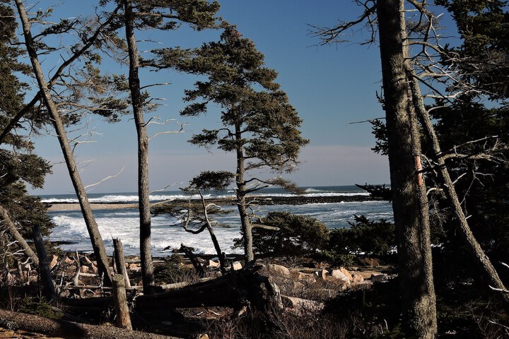 Beach 115 of 117