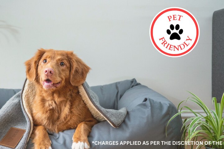 Pet Friendly 59 of 61