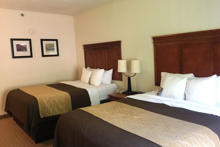Room 36 of 85