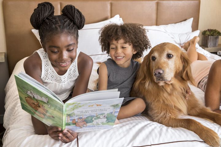Childrens Activities 224 of 237