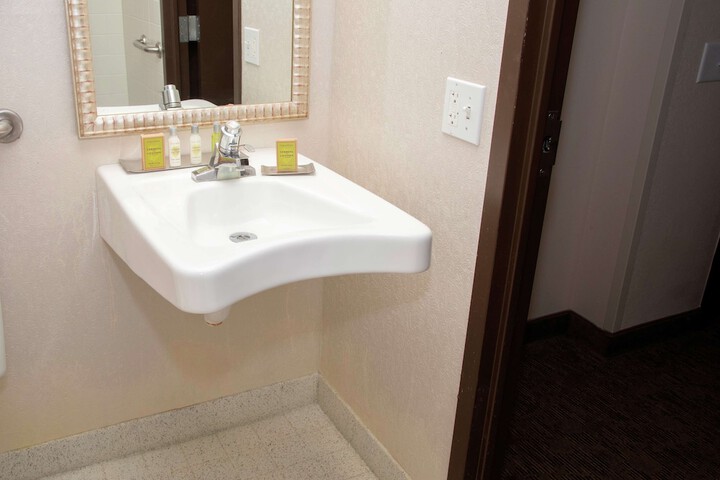 President Abraham Lincoln Springfield - DoubleTree by Hilton