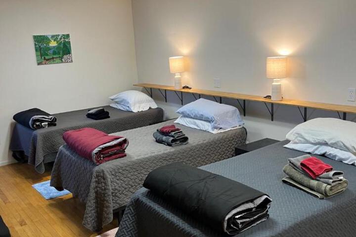Art Gallery Hostel