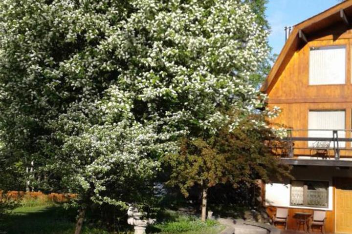 Alaska Chalet Bed & Breakfast