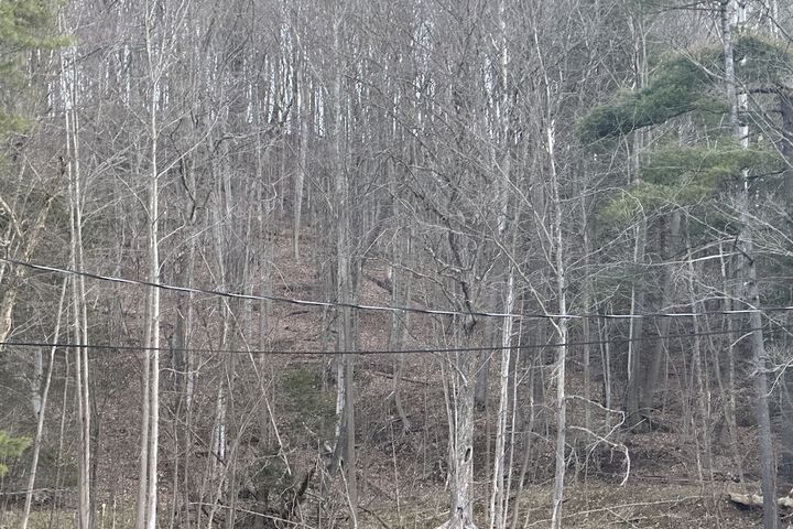 2 of 6