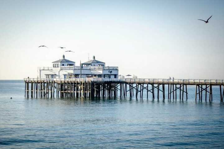 The M Malibu