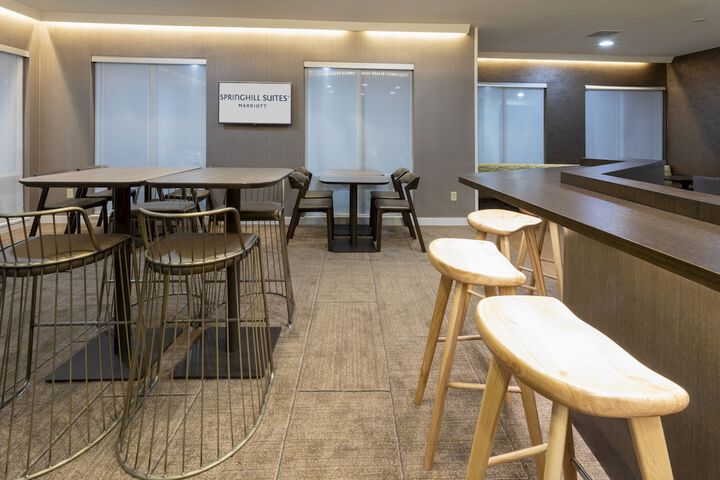 SpringHill Suites by Marriott Rochester-Mayo Clinic / St. Marys
