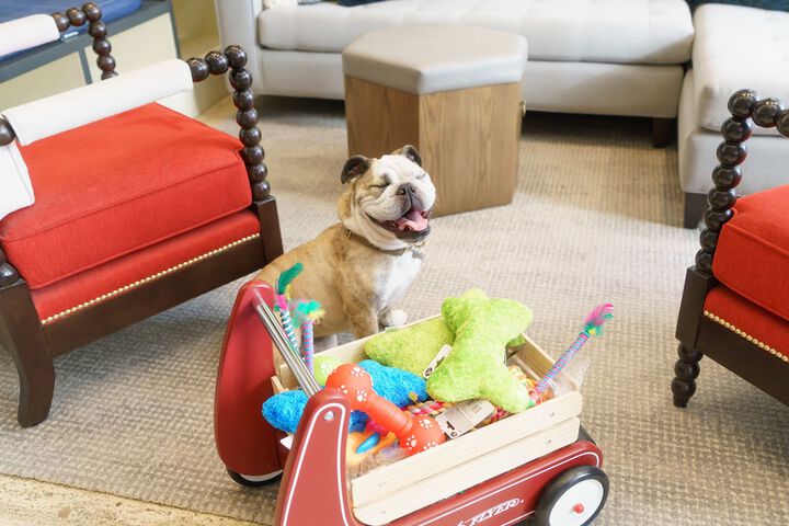 Pet Friendly 105 of 106