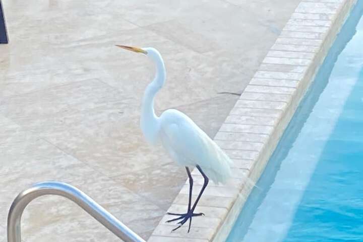 Holiday Isles Resort