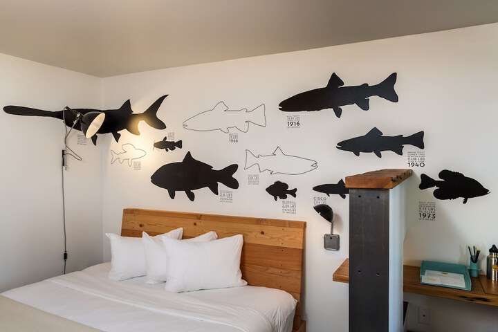 Room 44 of 56