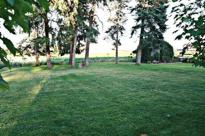 Property Grounds 66 of 67