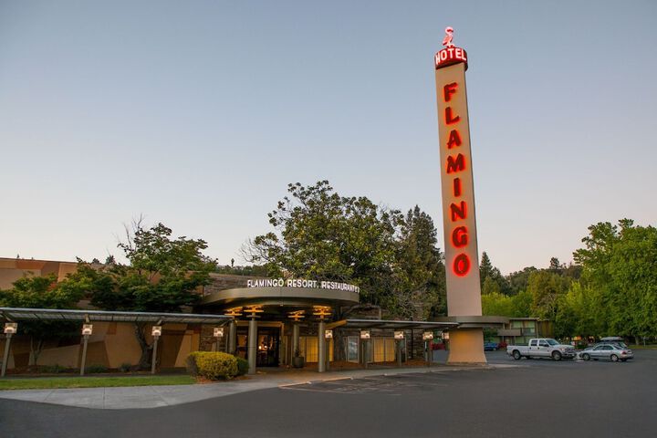 Flamingo Resort & Spa Santa Rosa Sonoma Tapestry by Hilton