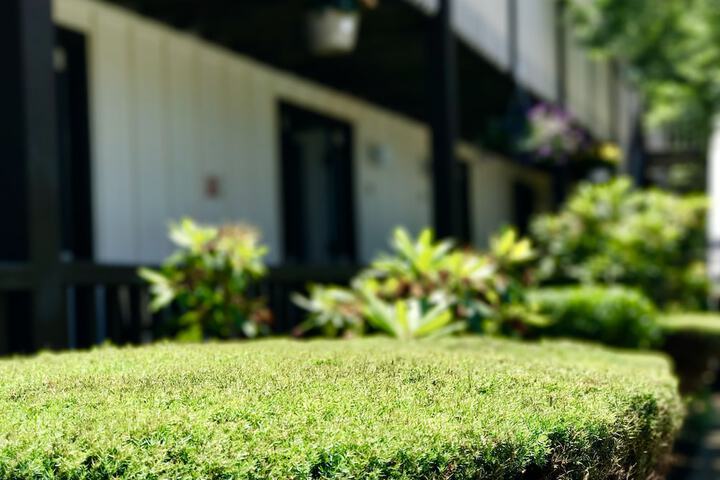 Property Grounds 27 of 27