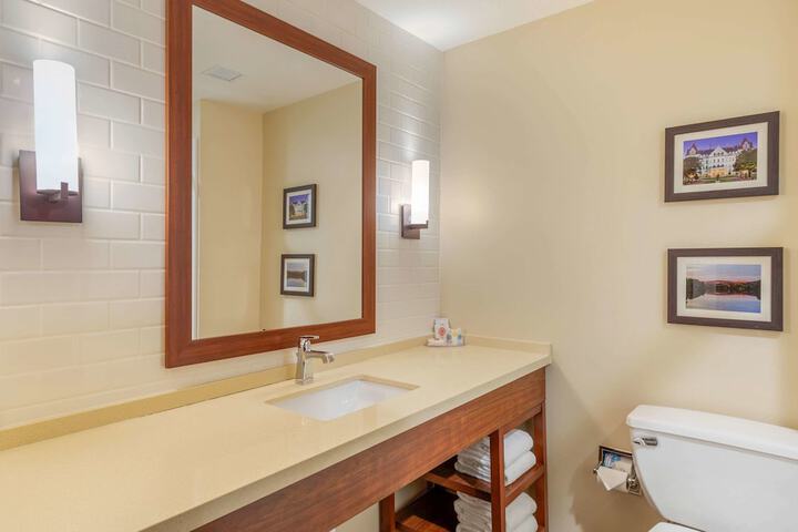 Comfort Inn & Suites Schenectady - Scotia