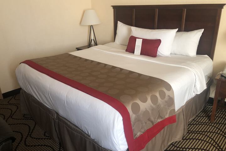 Room 16 of 36