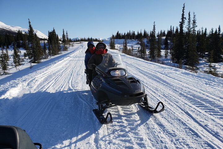 Denali Wild Stay