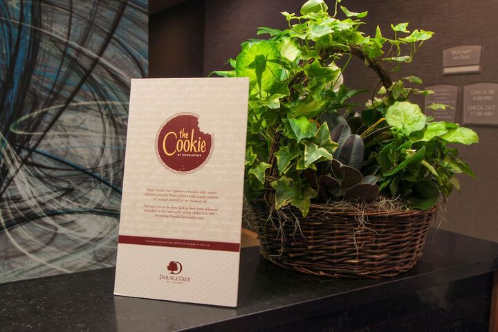 DoubleTree by Hilton Hotel Niagara Falls New York