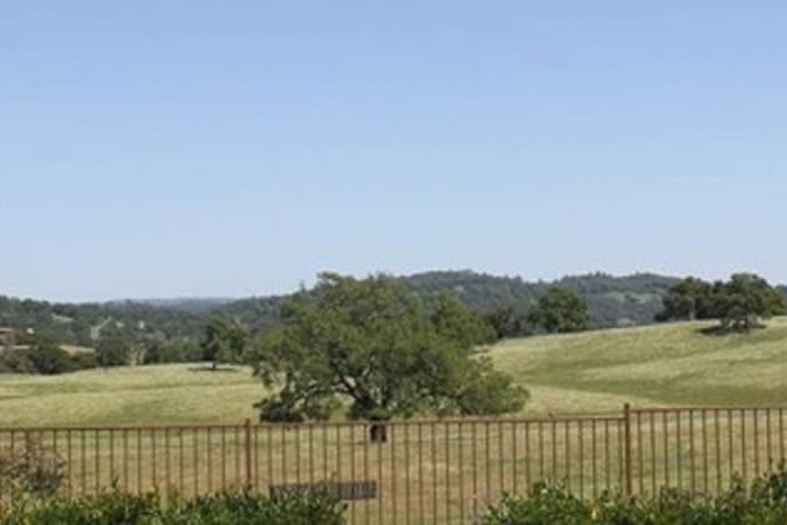 Property Grounds 20 of 20