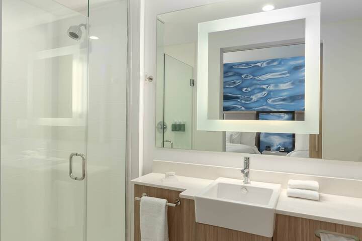 SpringHill Suites by Marriott Bradenton Downtown / Riverfront