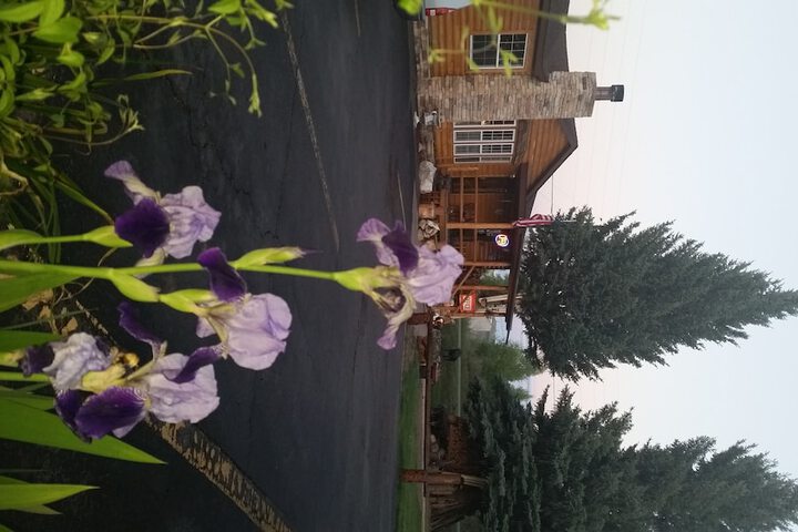 Property Grounds 48 of 51