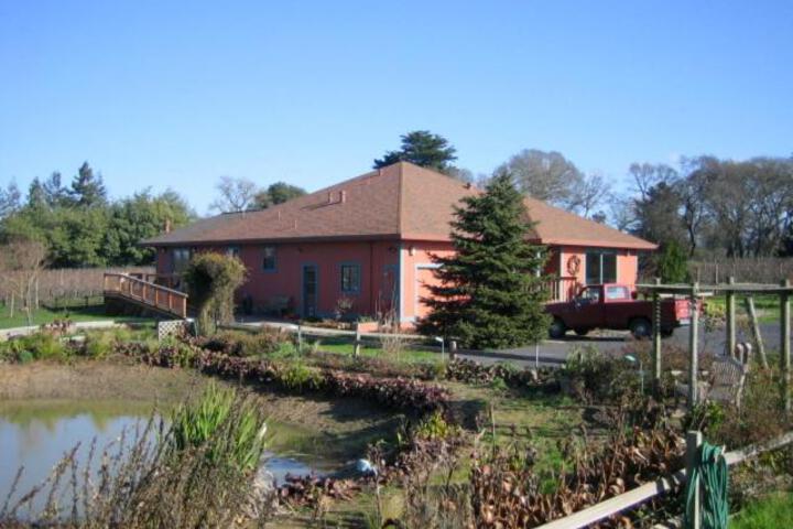 Pearlessence Vineyard Inn