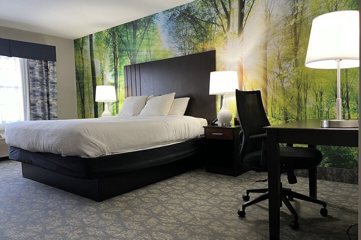 Room 41 of 57