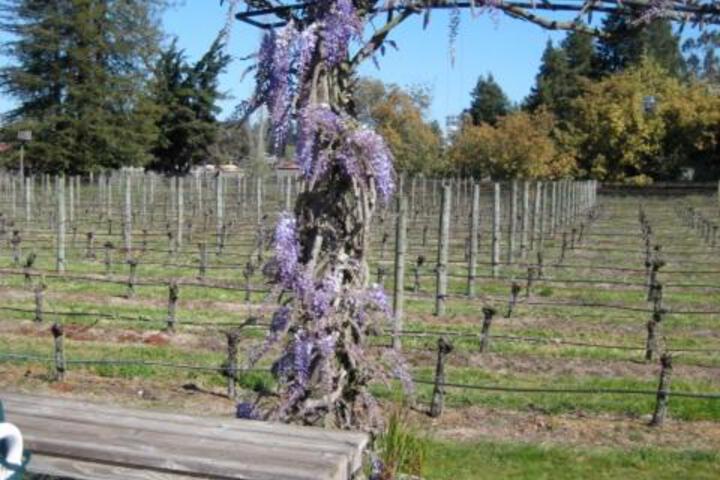 Pearlessence Vineyard Inn