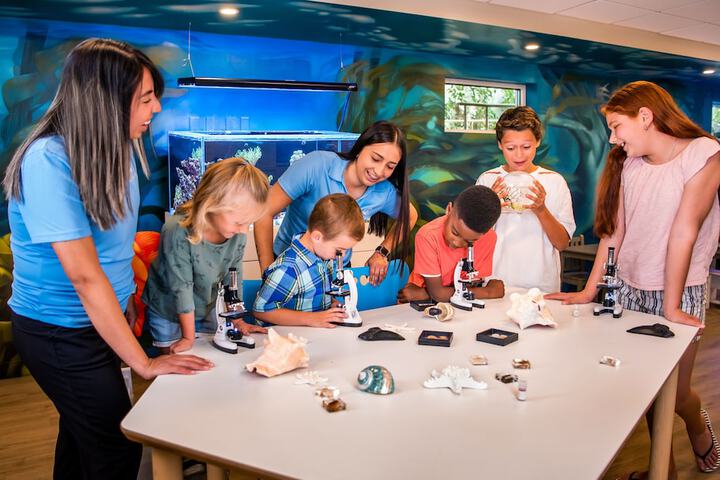 Childrens Activities 61 of 62