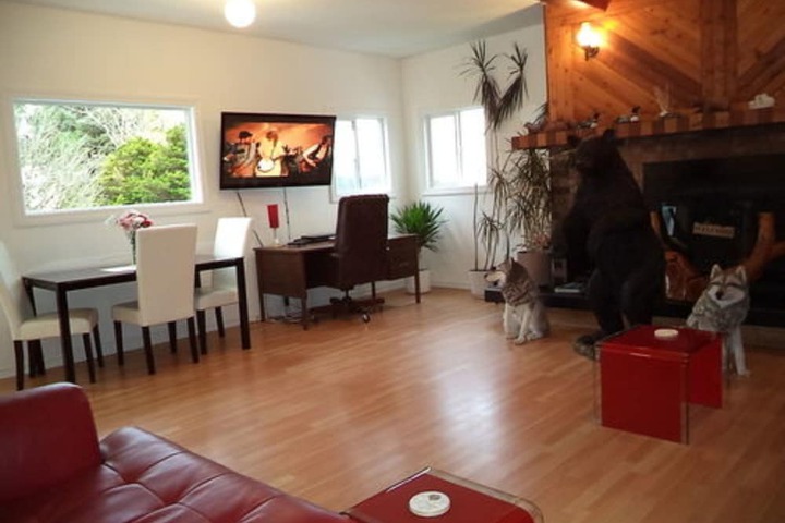 Enchanted Rainforest Guesthouse