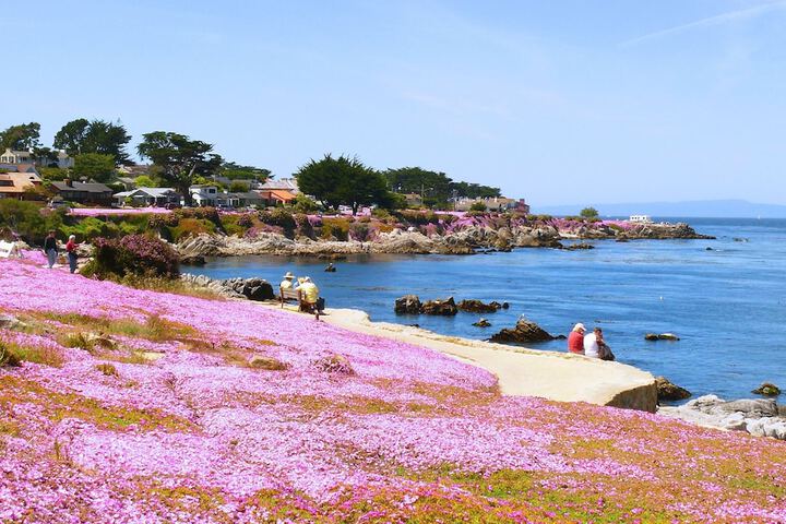 Beach 64 of 72