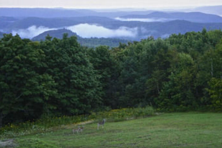 Whitcomb Summit Retreat