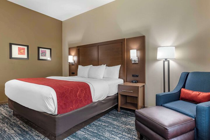 Comfort Inn & Suites Downtown near University