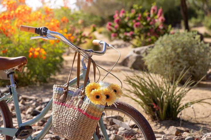 The Westin Desert Willow Villas Palm Desert