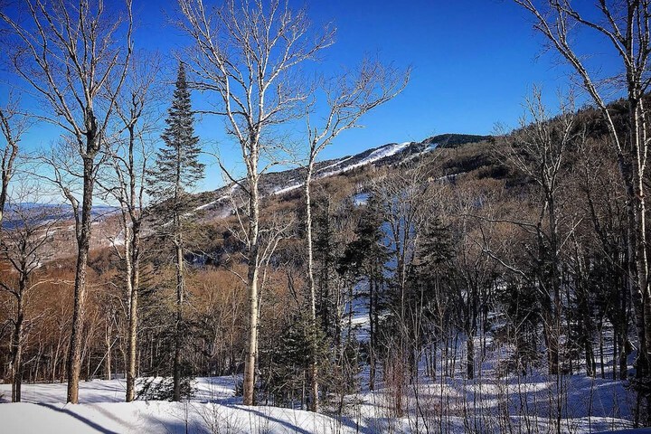 Summit Lodge